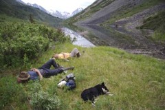 Muskwaketchica