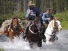 muskwa2.jpg