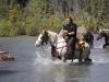 muskwa3.jpg