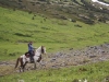 muskwa4.jpg