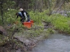 muskwa7.jpg