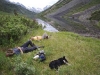Muskwaketchica
