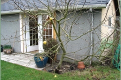 Deryk's Studio