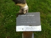 plaque_sam_deryk