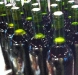 wine_homemade_nolabelsyet