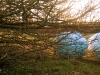 imgp2606_2.jpg