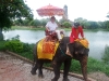deryk_elephant
